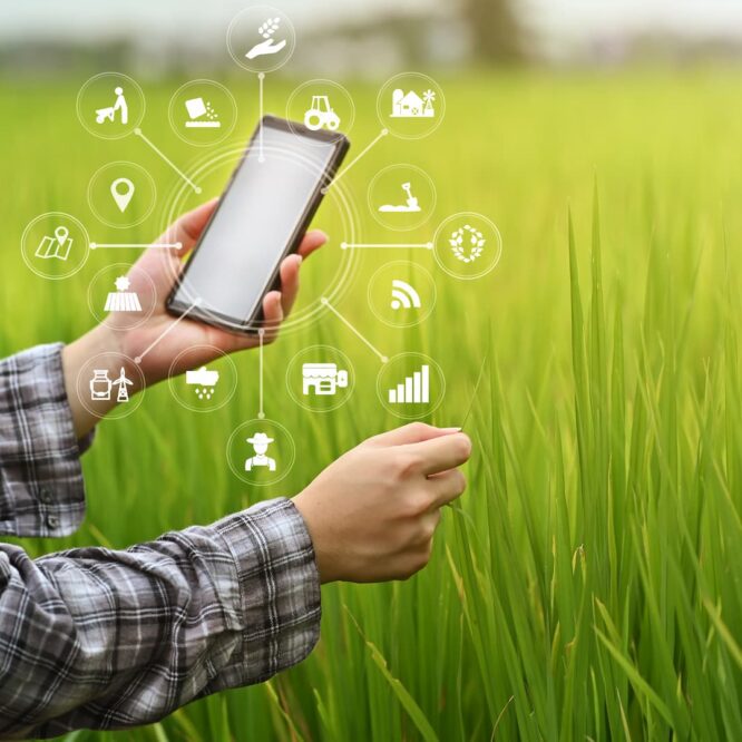 Les logiciels agricoles aident à optimiser le rendement des exploitations agricoles, tout en réduisant leurs impacts sur l'environnement.