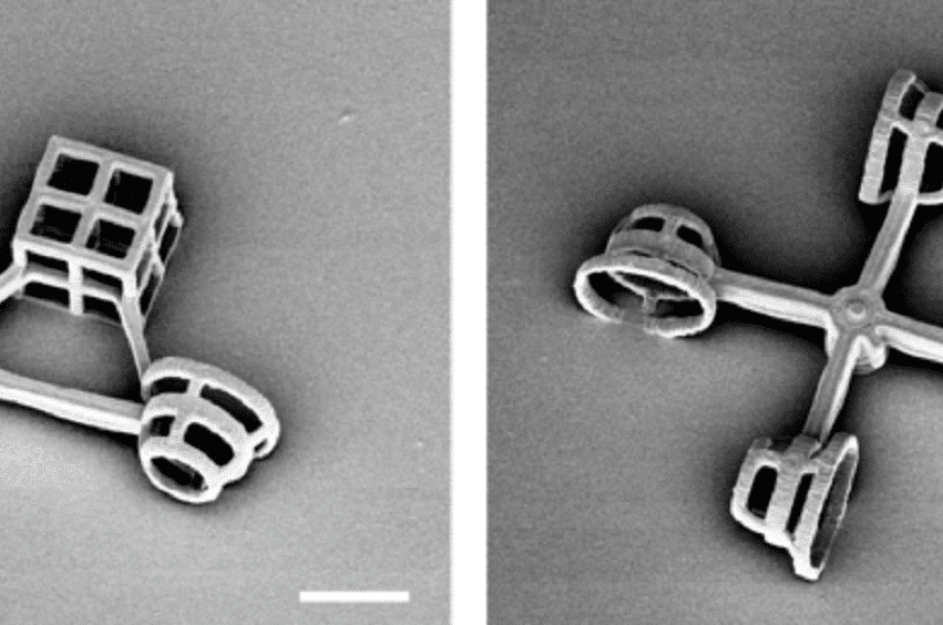 Des chercheurs ont concu des véhicules microscopiques propulsés par des algues unicellulaires