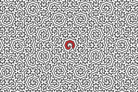Les physiciens ont conçu le labyrinthe le plus complexe au monde