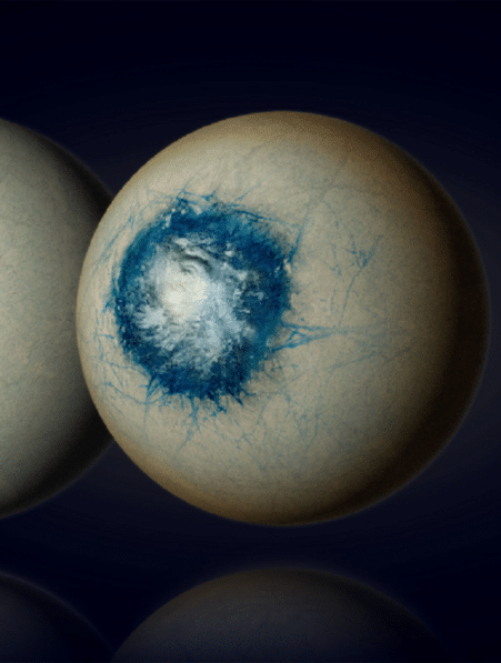 NASA les premières preuves de l existence d une exoplanète tempérée mises en évidence par le télescope spatial James Webb