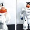 bio ordinateur mini cerveau robot