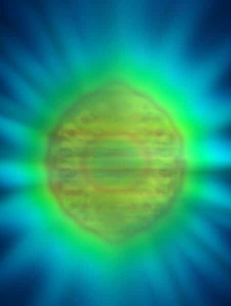 forme photon unique premiere