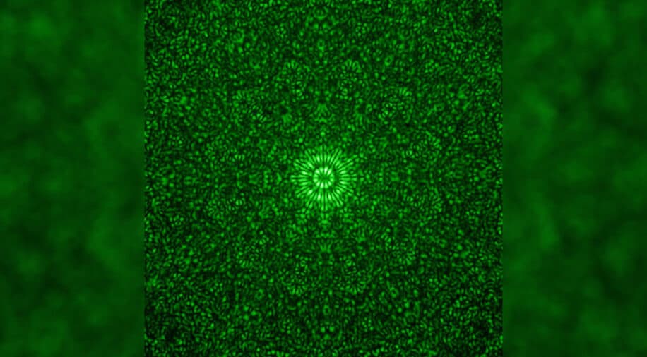 vortex lumiere informations