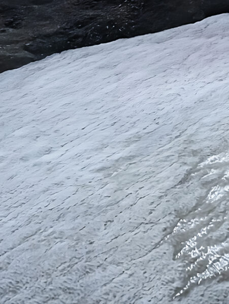 fonte glaces devoile foret fossilisee a 3100 metres couv