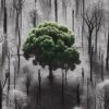 La séquestration naturelle du CO₂ en déclin et menace d'accélérer le changement climatique selon une étude