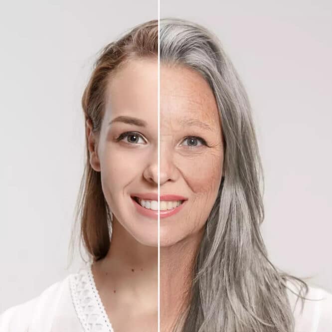 antioxydant naturel grisonnement cheveux