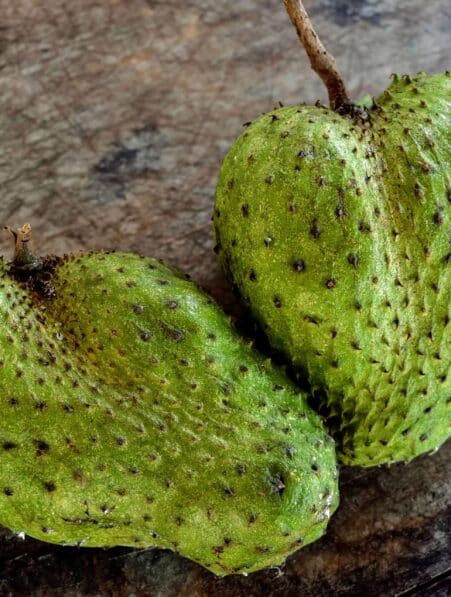 Le corossol un fruit aux multiples vertus entre espoirs et controverses