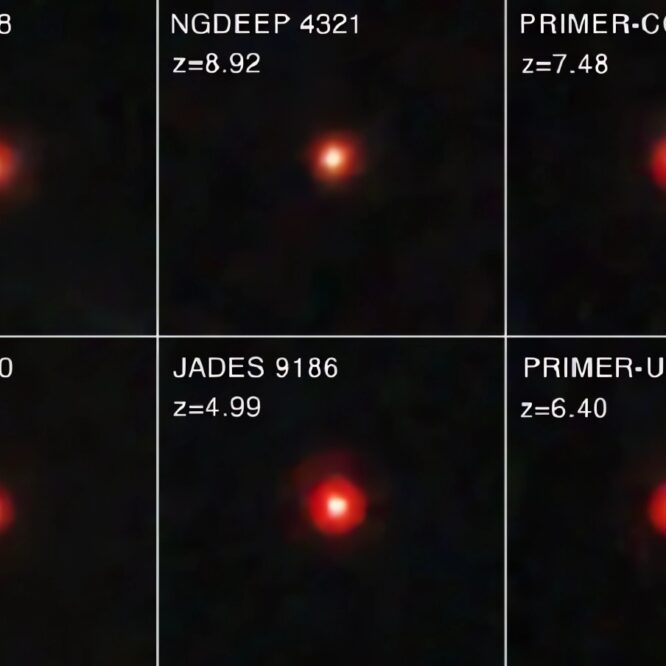 Les LRD de l'univers primitif pourraient être de petits trous noirs supermassifs ayant atteint leur maturité rapidement