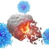 cancers vaccin approche