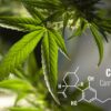 cannabidiol cbd formes