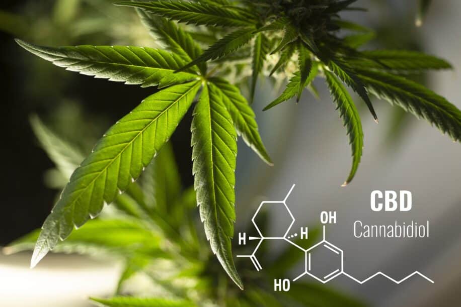 cannabidiol cbd formes
