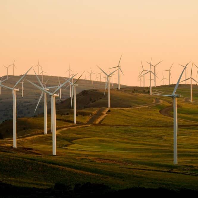 electricite energie renouvelable mondiale