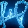 formation chromosomes revelee imagerie nouvelle generation couv
