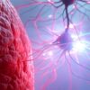 premiere cellules peau transformees neurones efficacite record couv