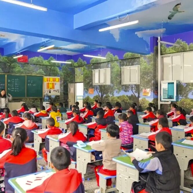 salles classe inspirees nature freinent progression myopie etude couv