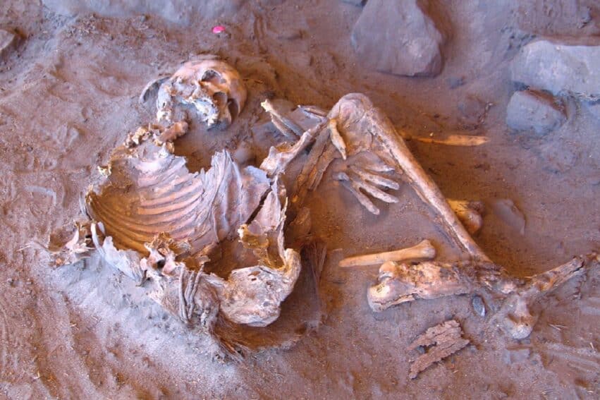 Des momies vieilles de 7 000 ans éclairent sur l'histoire génétique d'un peuple oublié