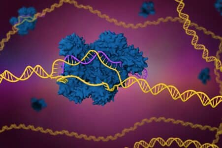 therapie crispr cholesterol permanent