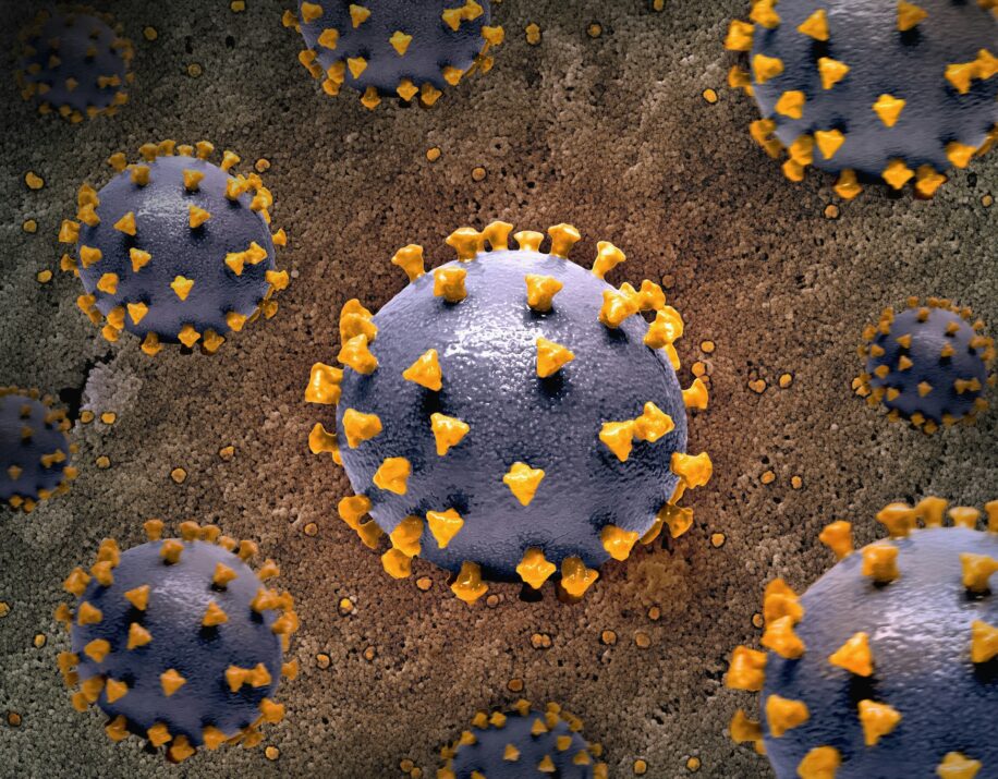 mpox variole singe sierra leone