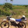 Avatar photo